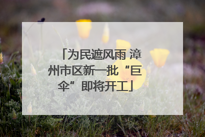 为民遮风雨 漳州市区新一批“巨伞”即将开工